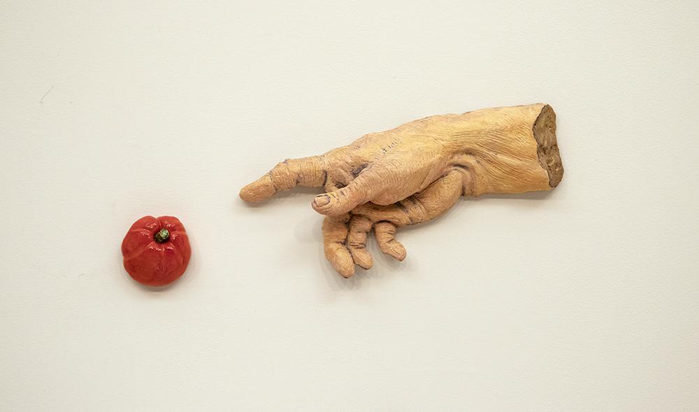 Creation of Tomato