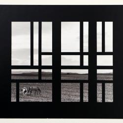 Prairie Lattice