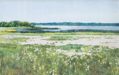 Untitled (Star Flowers)