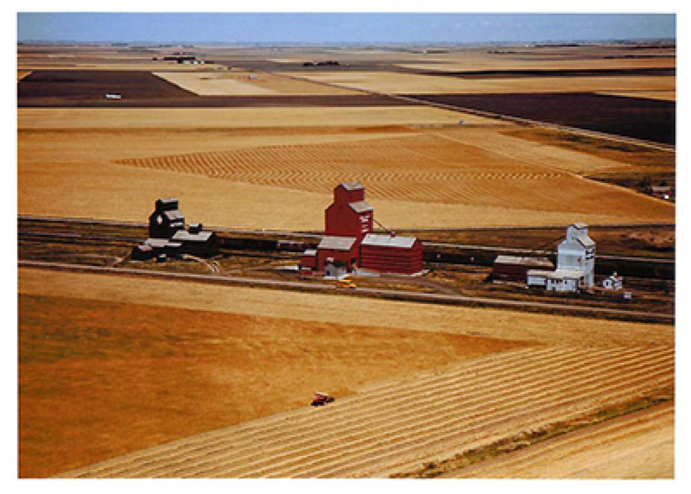 SK: The Great Regina Plain - Elevator siding of Lewvan.