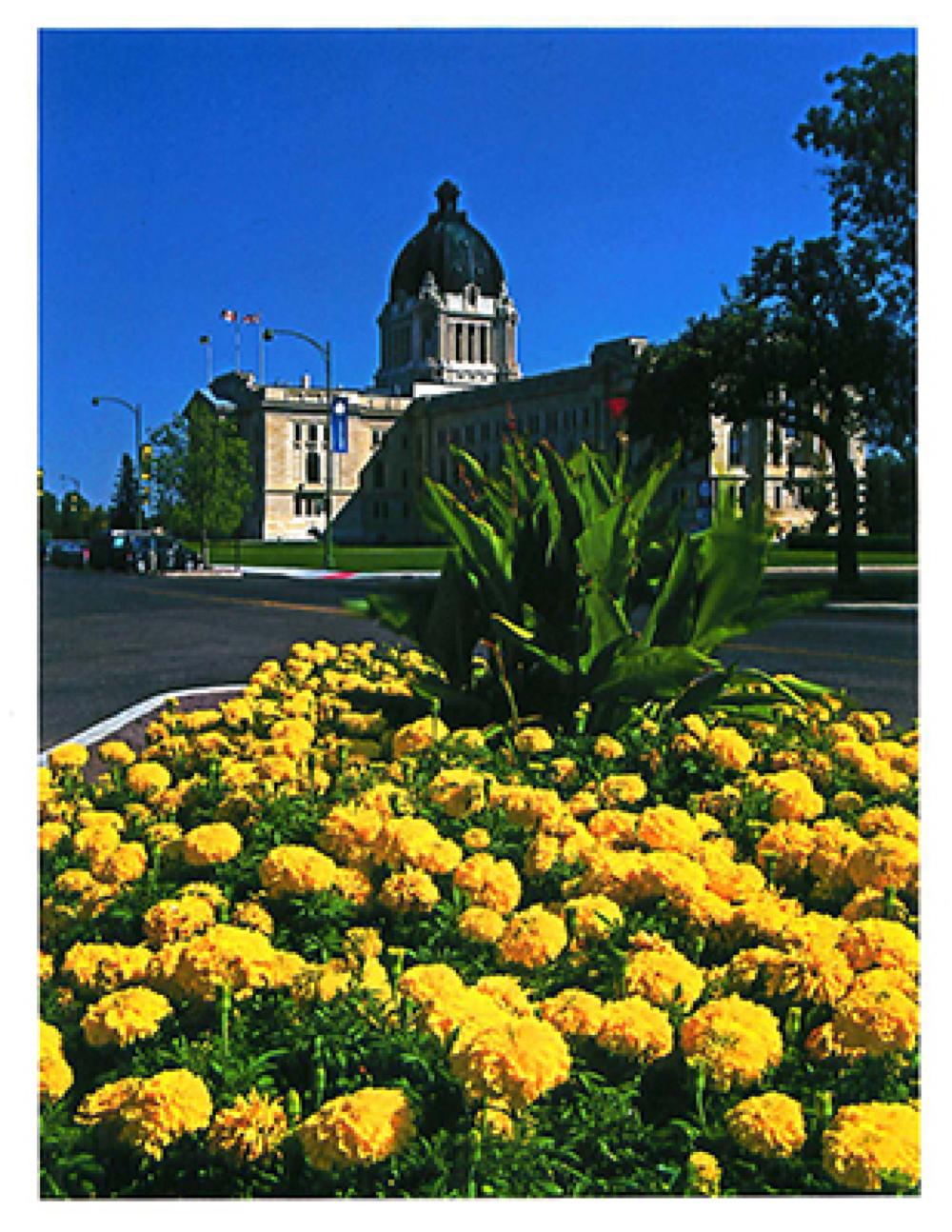 SK: Regina - Marigolds brighten entrance to Saskatchewan Legislative Building.