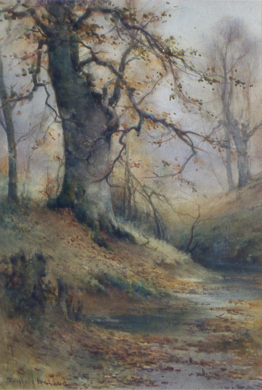 Landscape, Woodland Scene