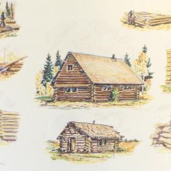 Pre Architecture, Pioneer Dwellings