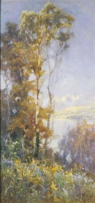 River Scene With Trees