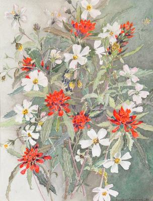 Indian Paintbrush and Wild Zinnea