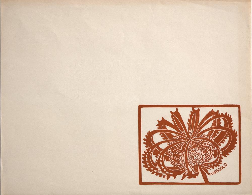 Marigold