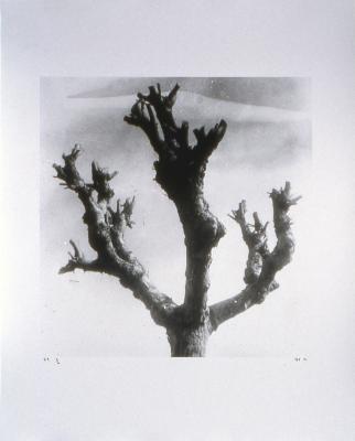 79