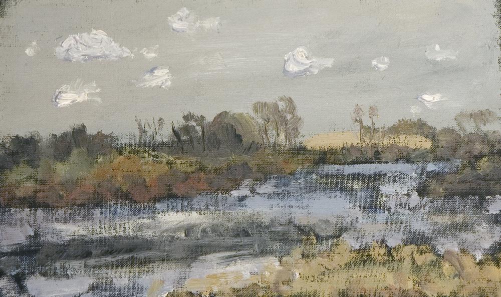 Pond in Spring, Late Afternoon, Rain