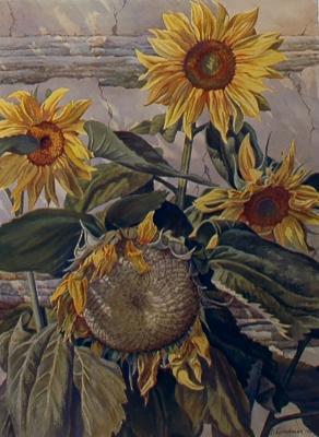 Untitled (Sunflowers)