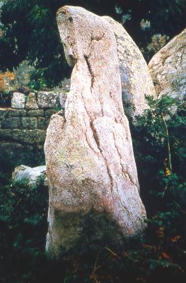 Venus in the Stone, Deity of Carnac