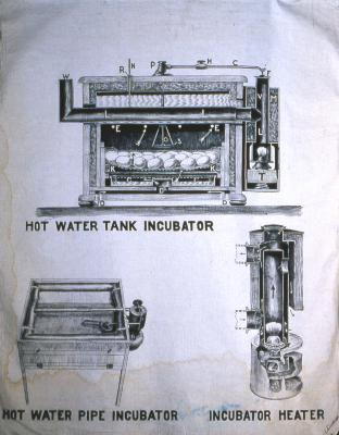 Hot Water Tank Incubator