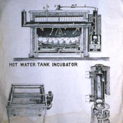 Hot Water Tank Incubator