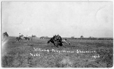 Photographic postcard