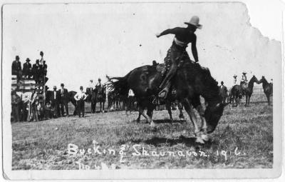 Photographic postcard