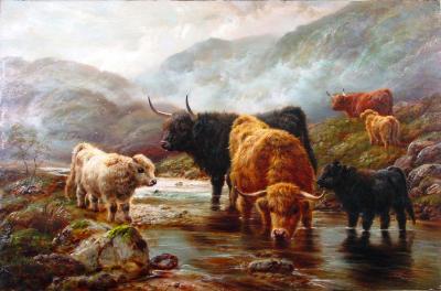 Highland Cattle