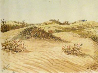 Sandhills Scene