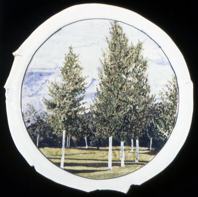 Poplars