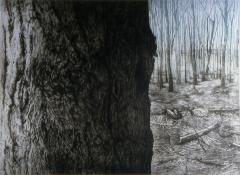 Woodlot IV