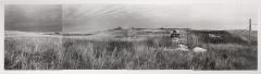 Laura's Homestead in the Allan Hills, 1989