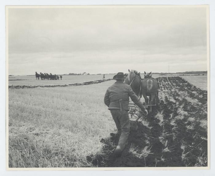 Ploughing (c.1970s)