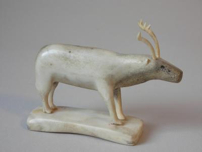 Caribou