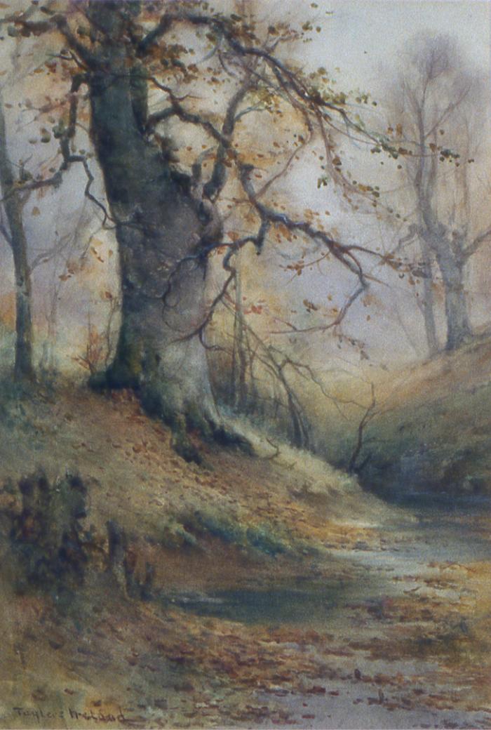 Landscape, Woodland Scene