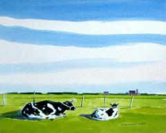 Cows in Field