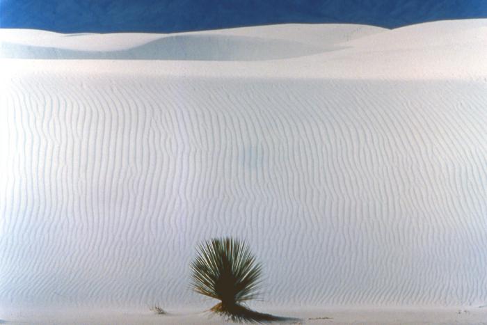 White Sands, Sea of Alabaster