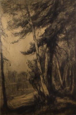 Spruce and Birch