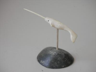 Narwhal