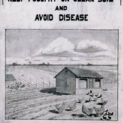Common Source of Poultry Disease