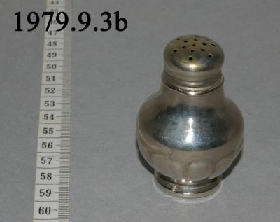 Silver Salt Shaker