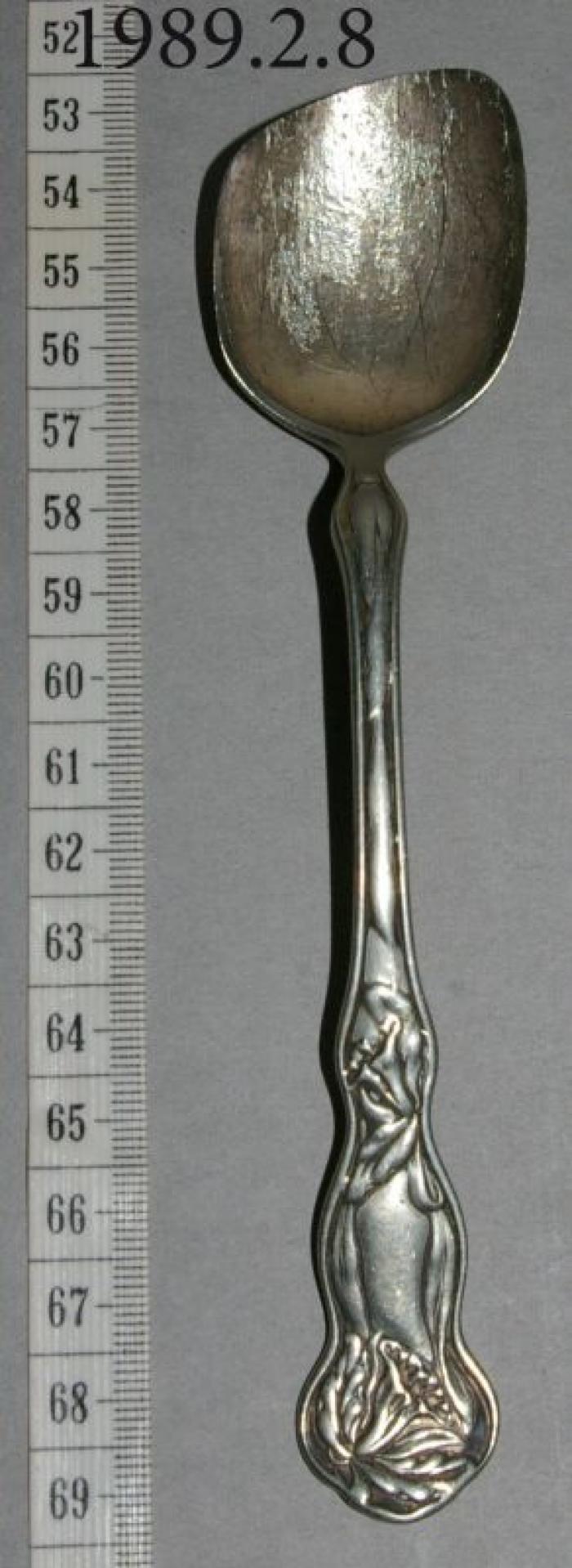 Silver Tablespoon