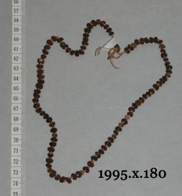 Seed Necklace