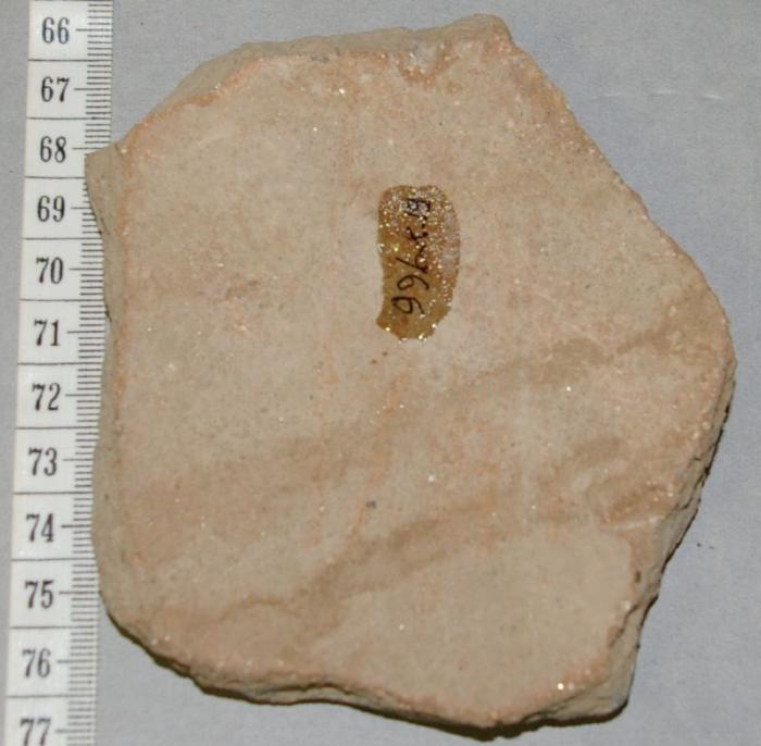 Pottery Sherd