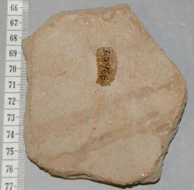 Pottery Sherd