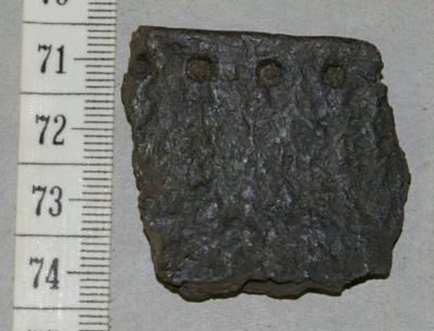 Pottery Sherd