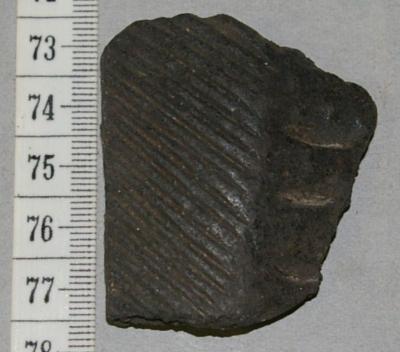 Pottery Sherd