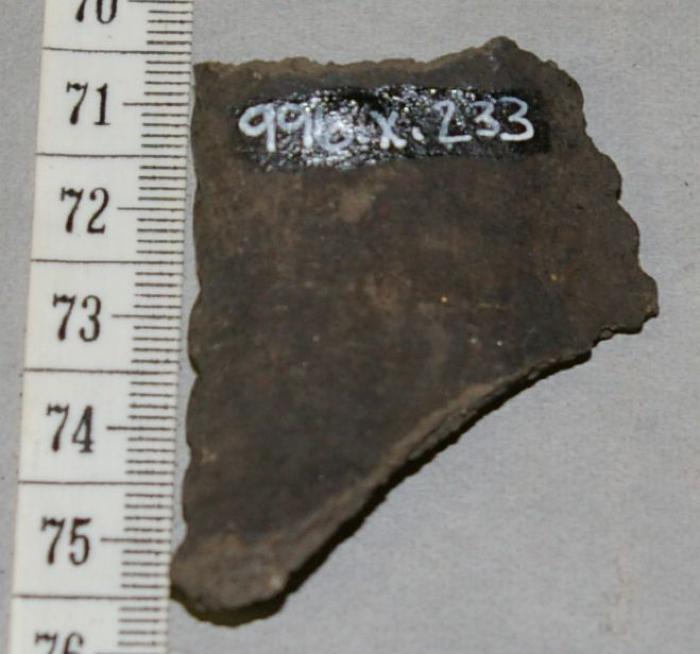 Pottery Sherd