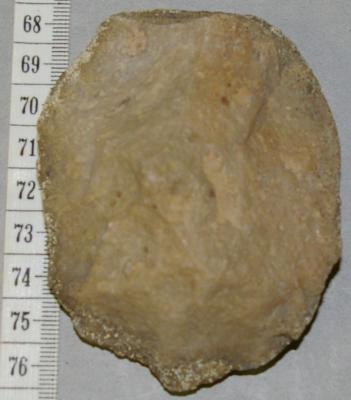 Brown Rock Core