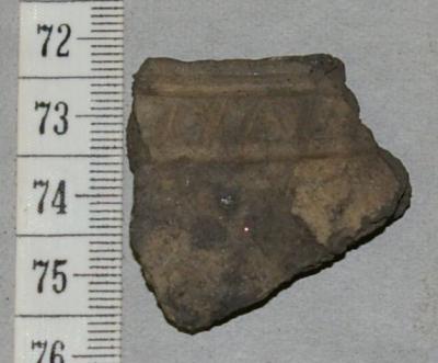 Pottery Sherd