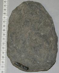 Brown Rock Core