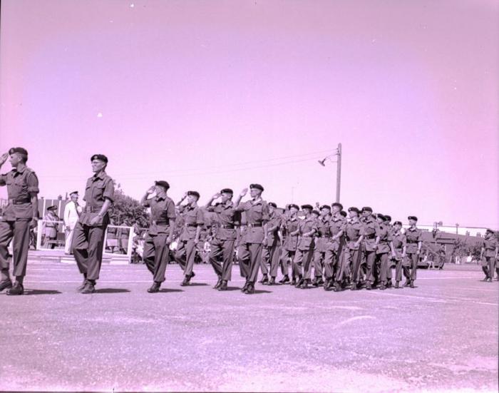 14th Canadian Hussars, Dundurn (1961);Negative