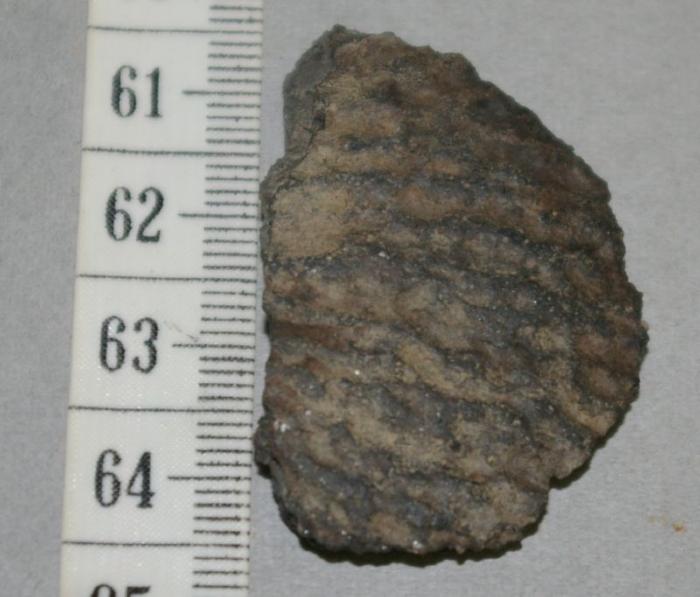 Pottery Body Sherd