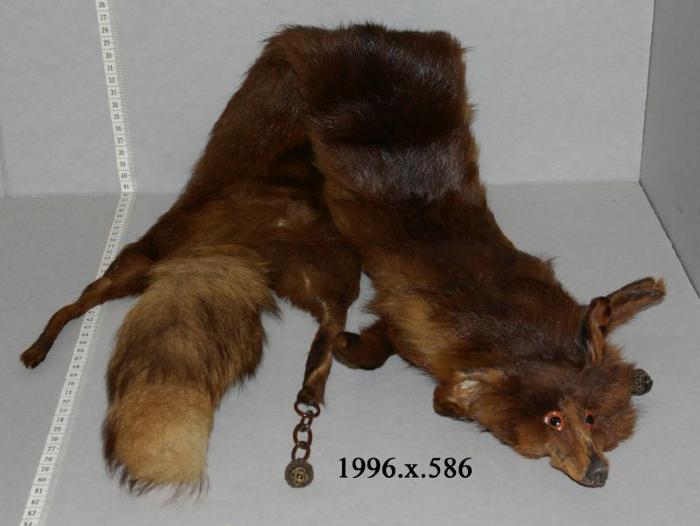 Fox Fur Stole