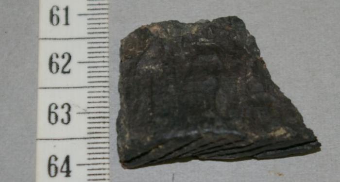 Pottery Rim Sherd