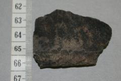 Pottery Rim Sherd