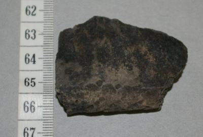 Pottery Rim Sherd