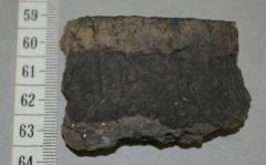 Pottery Rim Sherd