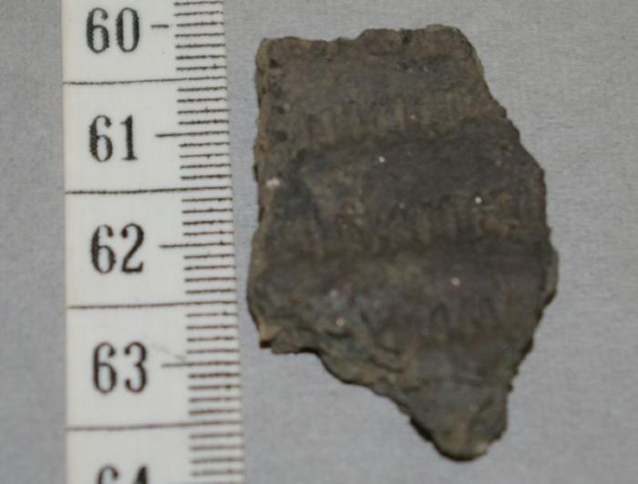 Pottery Body Sherd